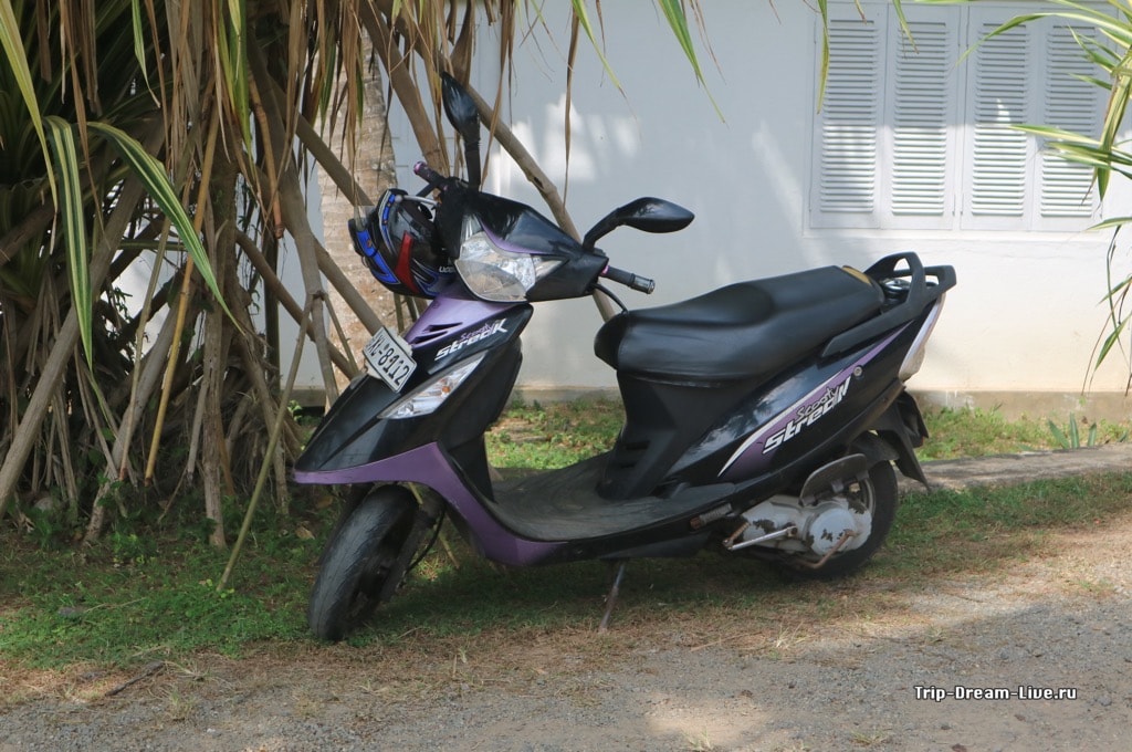 Страна - шри-ланка