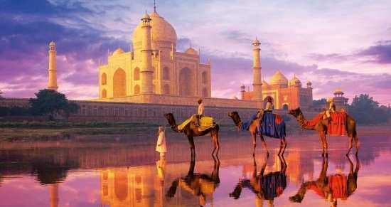 Lotto india