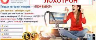 Как организовать лотерею: пошаговый план запуска и возможная прибыль (2020)