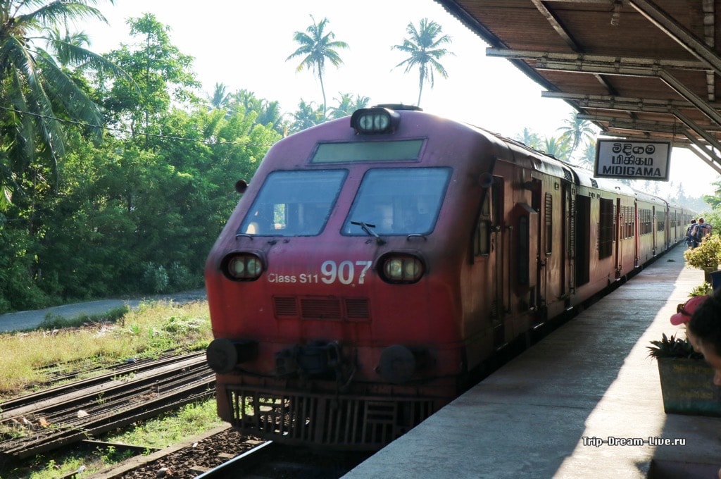 Страна - шри-ланка