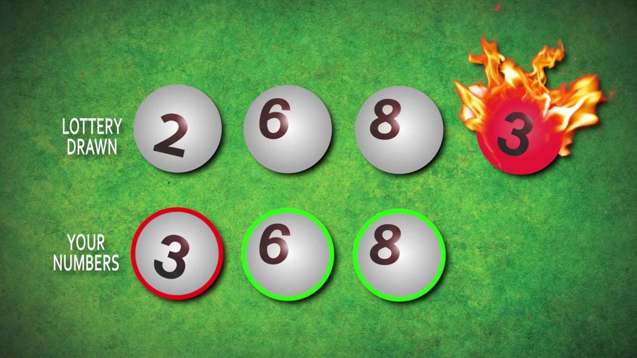 Jersey cash 5 new jersey (nj) lottery results & game details
