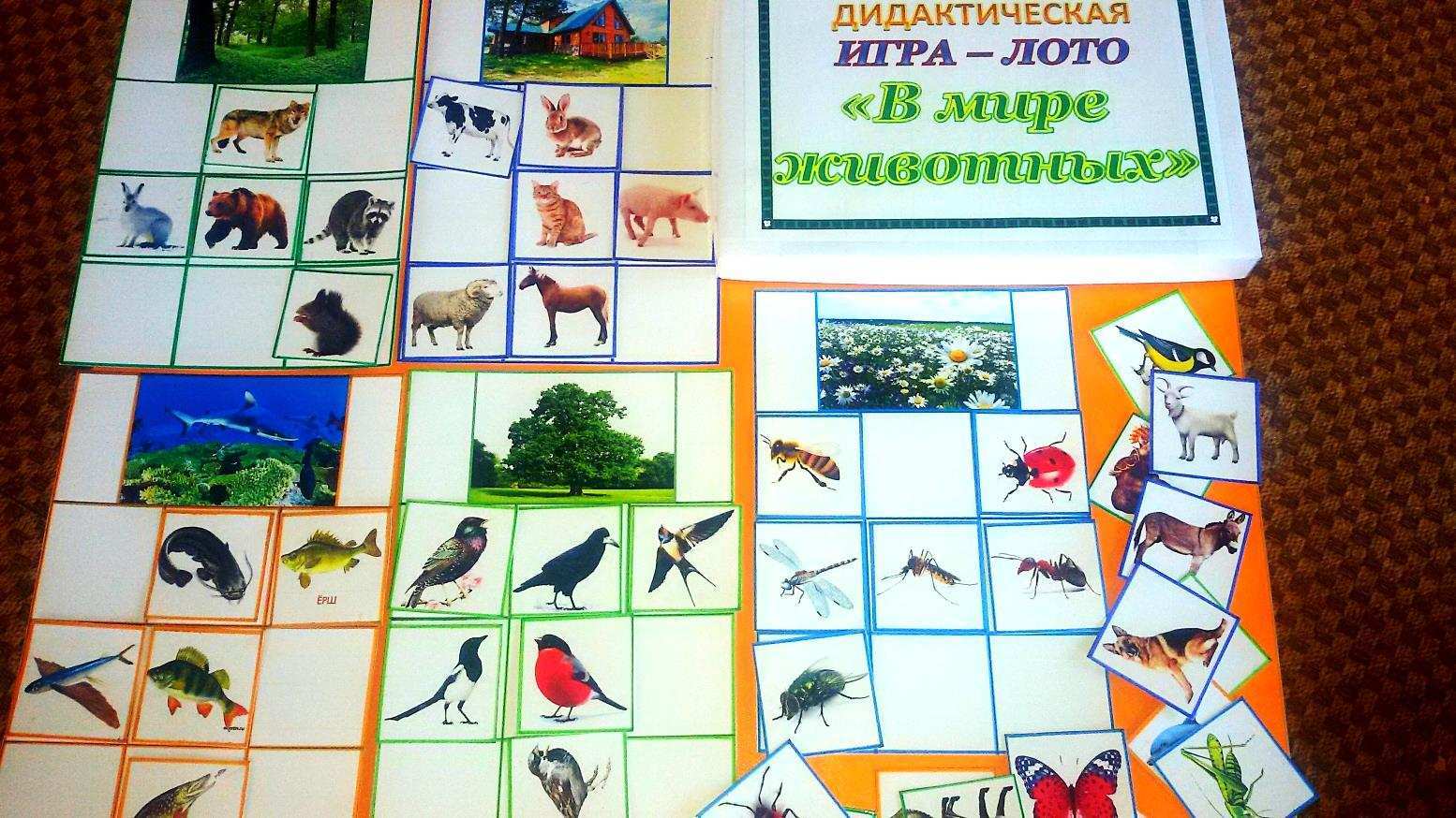 Проверить билет русское лото