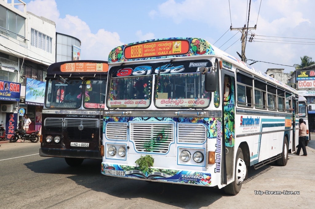 Страна - шри-ланка