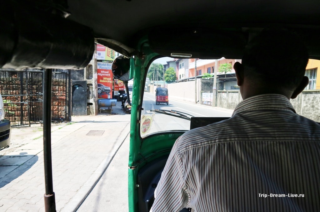 Страна - шри-ланка